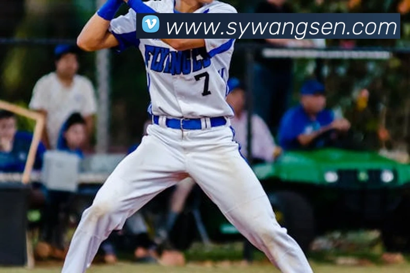 世界杯官方网络平台平台生态图